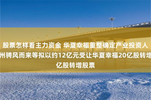 股票怎样看主力资金 华夏幸福重整确定产业投资人：杭州骋风而来等拟以约12亿元受让华夏幸福20亿股转增股票