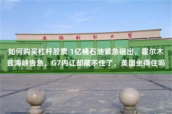 如何购买杠杆股票 1亿桶石油紧急砸出，霍尔木兹海峡告急，G7内讧却藏不住了，美国坐得住吗