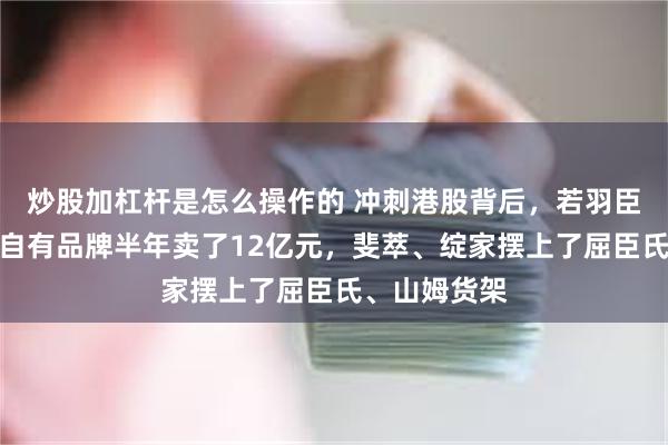 炒股加杠杆是怎么操作的 冲刺港股背后，若羽臣加速转身：自有品牌半年卖了12亿元，斐萃、绽家摆上了屈臣氏、山姆货架