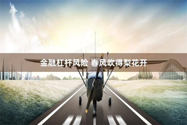 金融杠杆风险 春风吹得梨花开